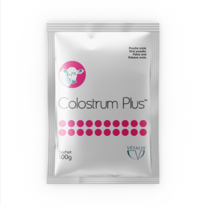 Colostrum Plus Powder