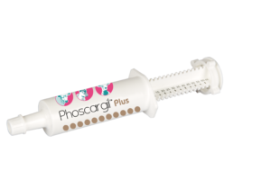 Injecteurs Phoscargil Plus Pâte