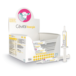 Cévital Energy Calf