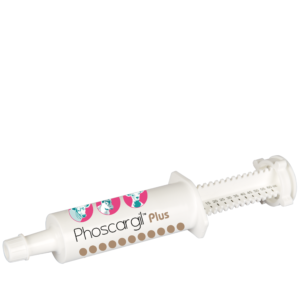 Phoscargil Plus Pâte