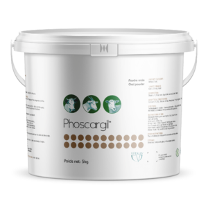 Phoscargil Poudre